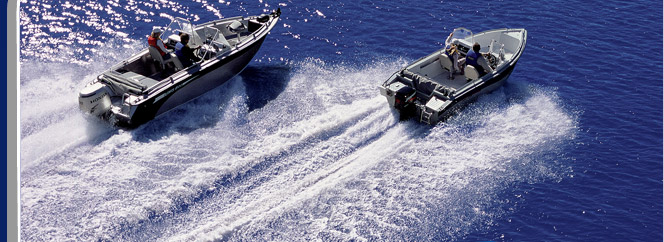 Катера и лодки UMS Boat